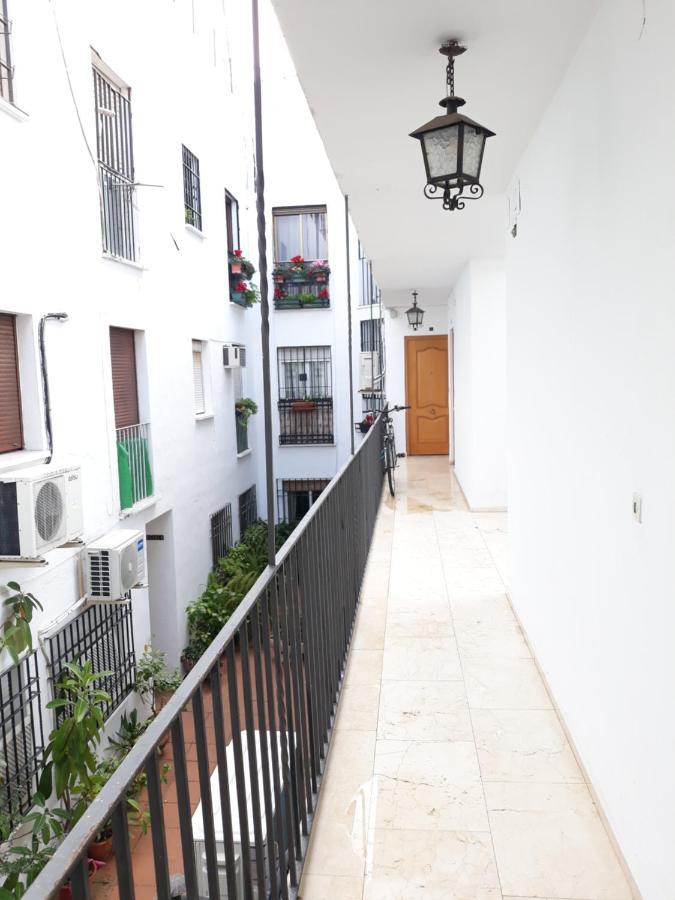 Appartamento Pleno Centro Wallada